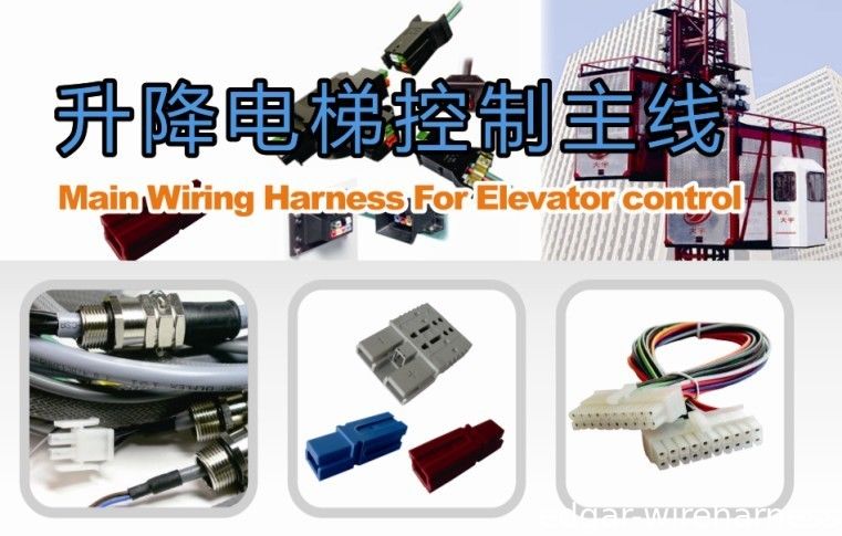 Edgar Main Wiring Harness For Elevator Control