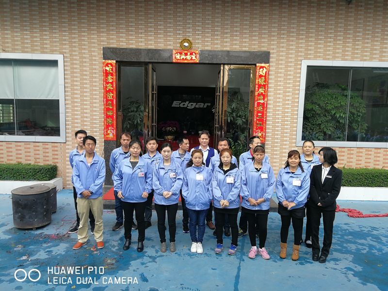 Edgar Auto Harnesses LTD