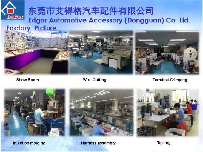 Edgar Auto Harnesses LTD