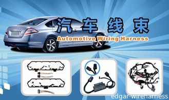 China Automotive  Wiring Harness supplier