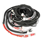 600v High Voltage Wire Harness for Industrial Applications